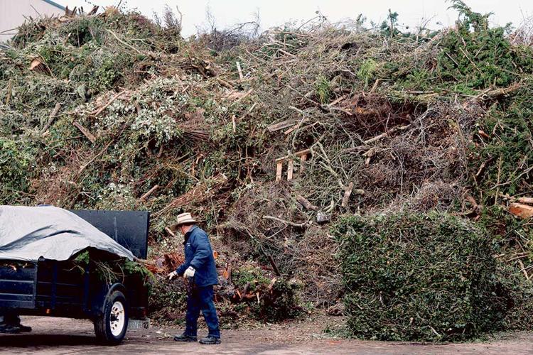 February showers bring March storm debris disposal woes.