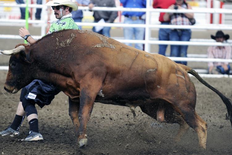 California Rodeo Salinas