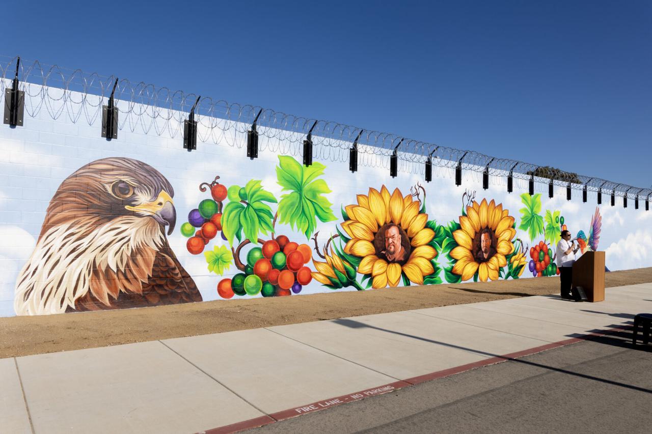 Juvenile Hall unveils its second mural that blends with its surroundings.