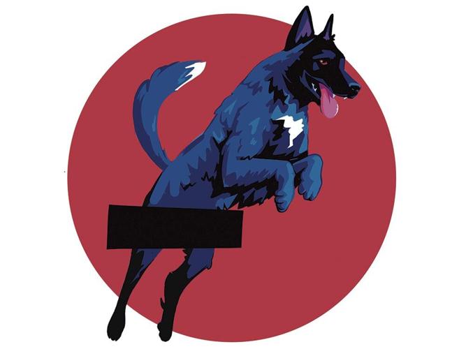 Your Government, In The Dark