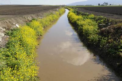 Central Coast water board aims to keep ag pollutants in check  