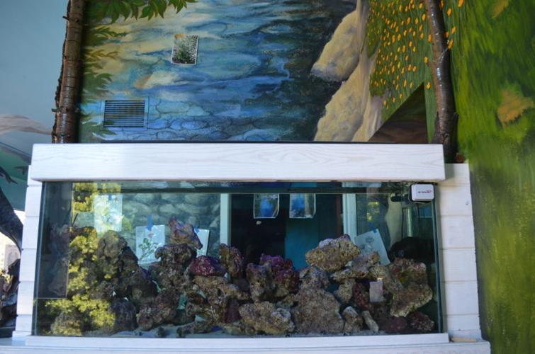 Bay of Pines fish tank at entrance