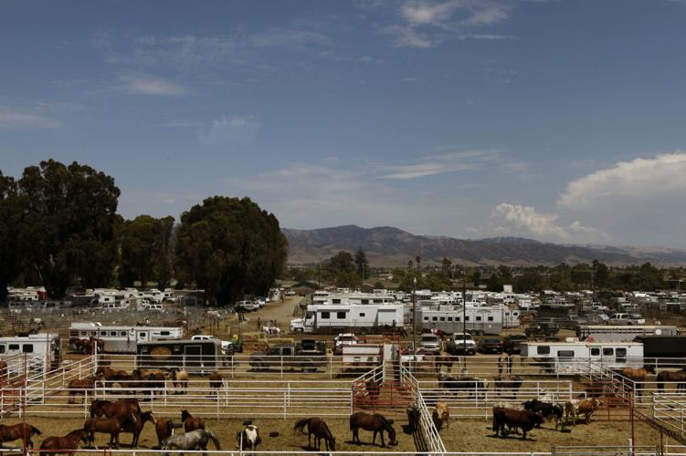 California Rodeo Salinas