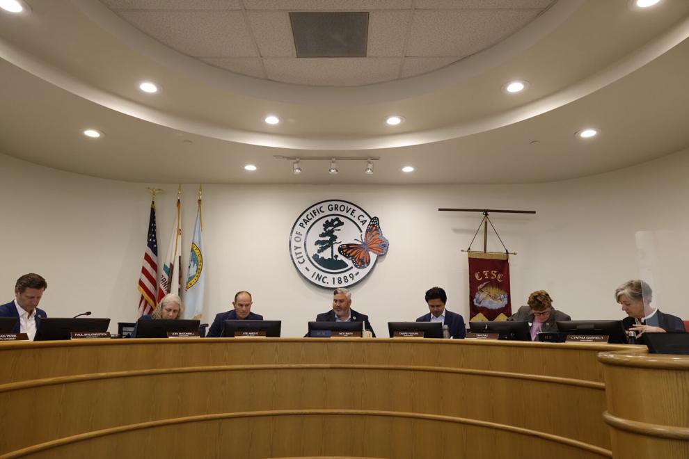 P.G. City Council will vet nine candidates to fill open seat through November.