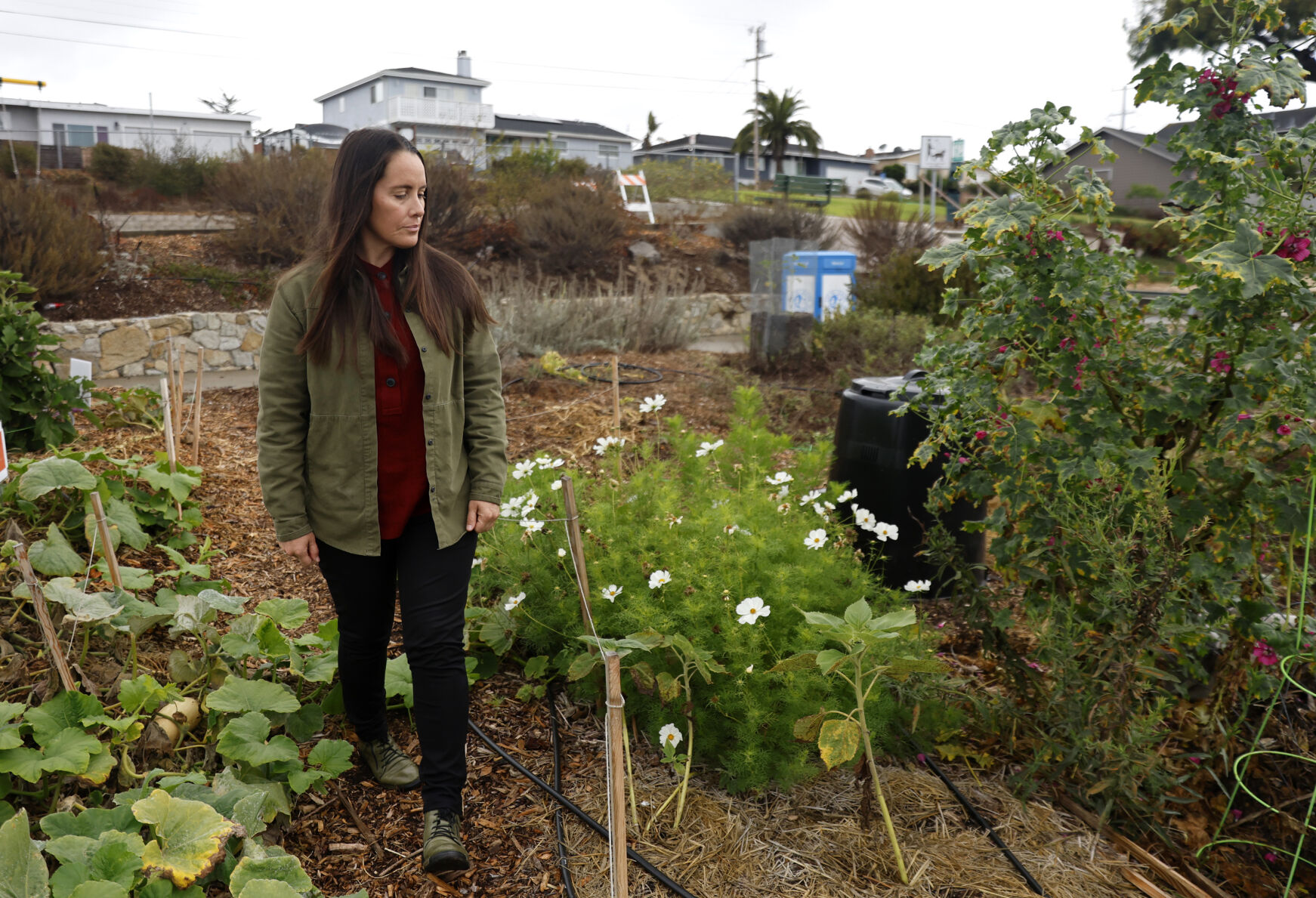 Community Garden Rebuilt After Vandalism in Seaside | Newsletter ...