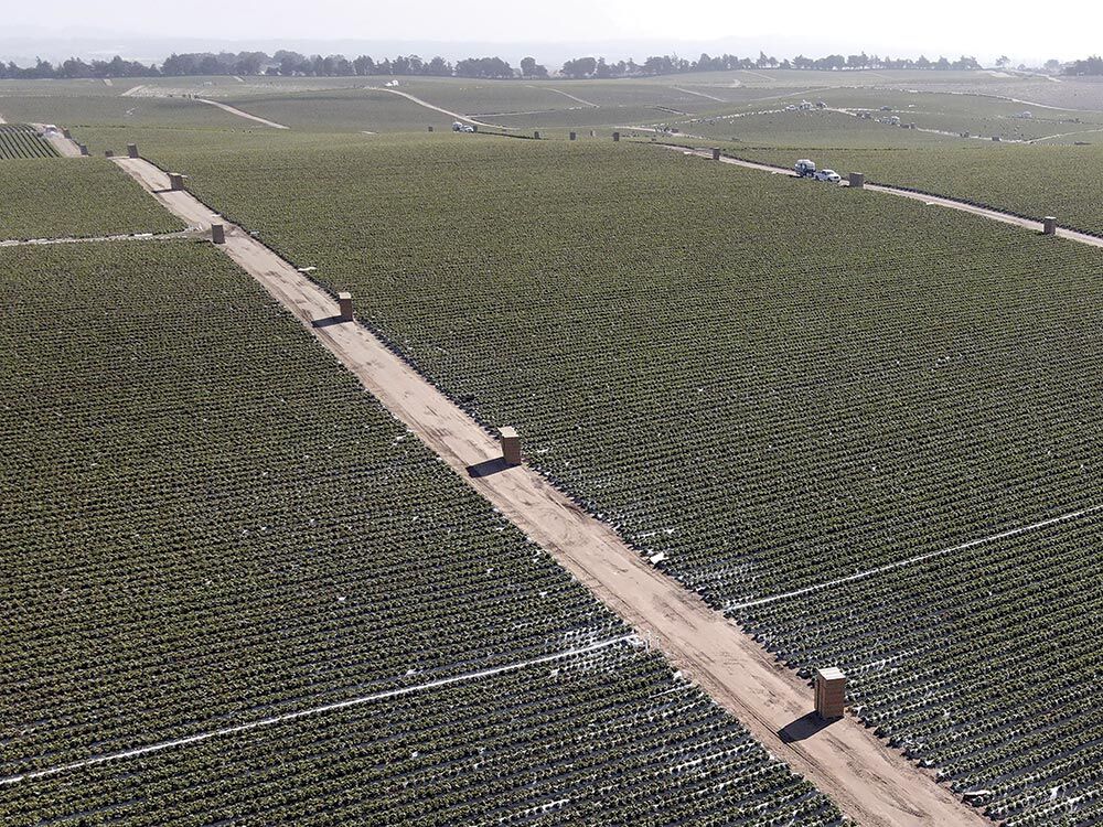 Armstrong Ranch Groundwater Concerns in Monterey County: Balancing Needs | News ...