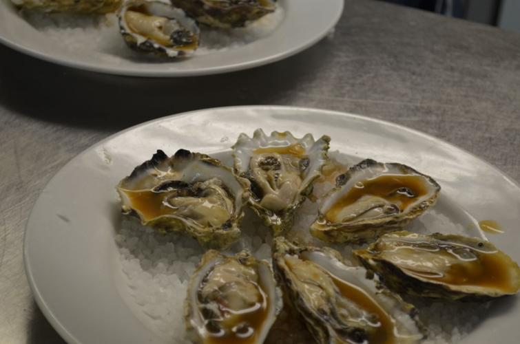 Oysters.JPG