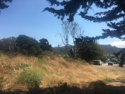 Decomposed body unearthed in Carmel.