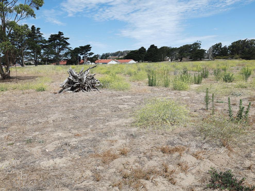 The Salinas Valley Health Board puts up a vacant lot in Marina for possible sale – and housing.