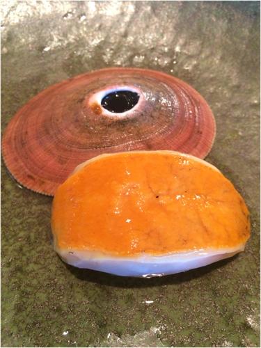 limpet gets loose