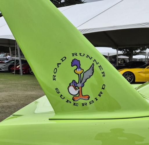 Superbird wing