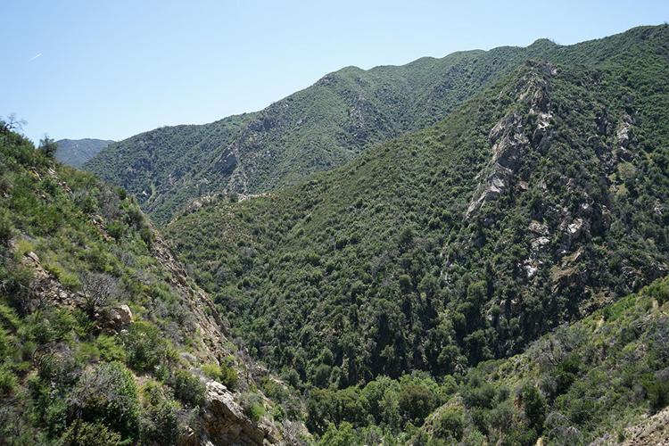 ViewfromChurchCreekTrail.jpg