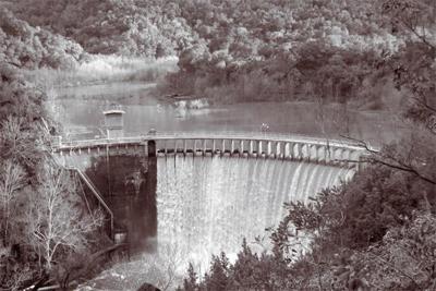 A useless dam on the Carmel River is keeping endangered steelhead from their spawning grounds.  