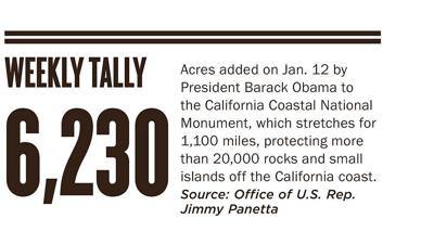 The Weekly Tally 01.19.17