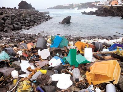 The Ocean's Plastic Sole