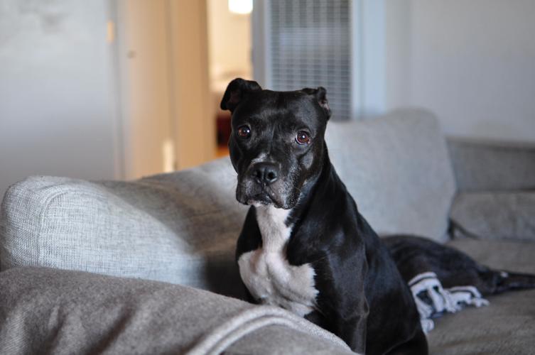 Lulu