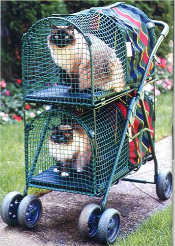 (available in Hammacher Schlemmer catalog)  
