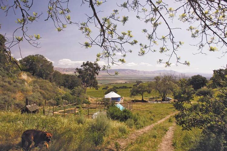 From Hurt to Yurt