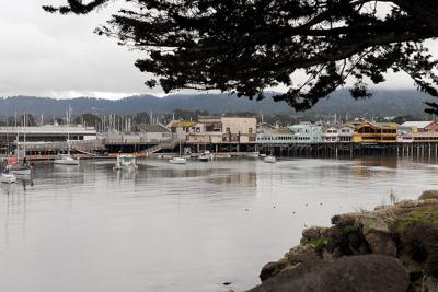 Fisherman's Wharf view