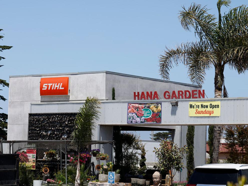Landscaper files wrongful termination lawsuit against Green Valley Landscape in Seaside.