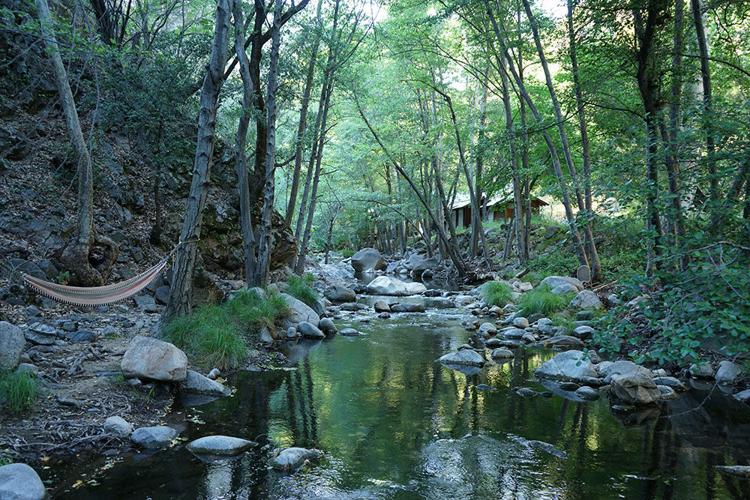 HammockbyCreek.jpg