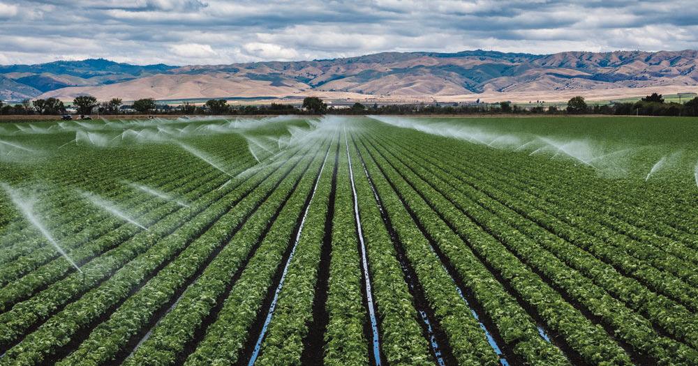 Our new publication, Salinas Valley Now, is filling in a news desert.