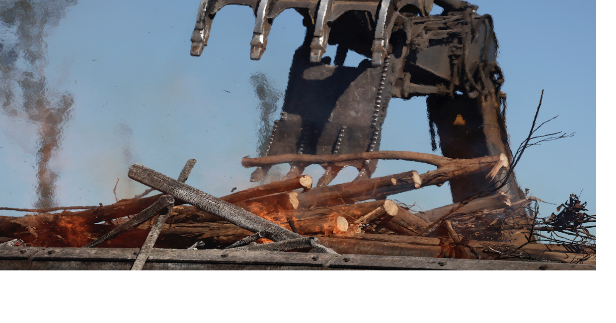 From eucalyptus to biochar, a closed-loop system emerges to benefit local growers.