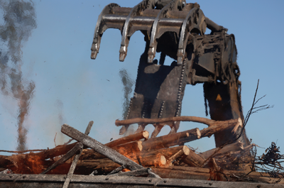 Biochar Prunedale