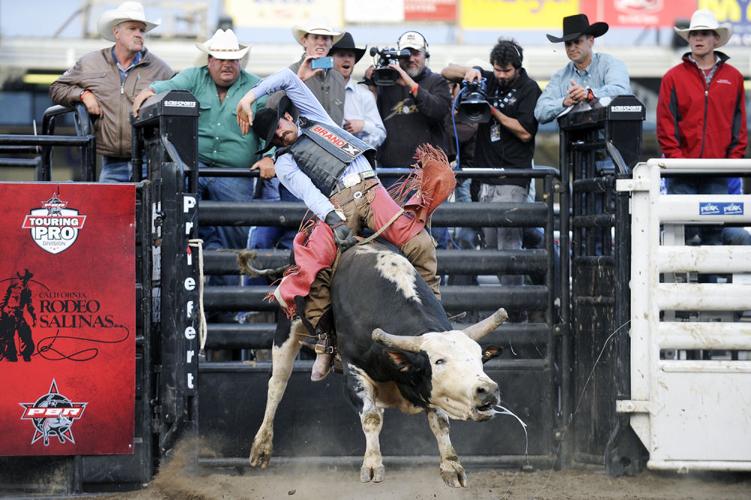 2014 Professional Bull Riding