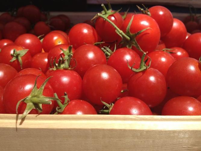 carmel farmers market tomatoes