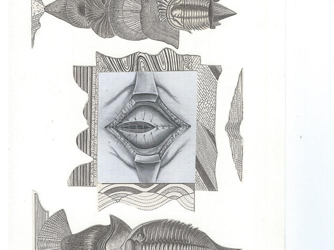 cal-art_2.jpg