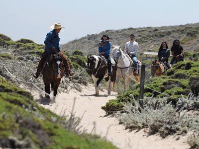 Coastal Canter