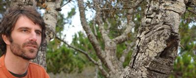 This year's oak moth epidemic leaves local trees ugly, not dead.  