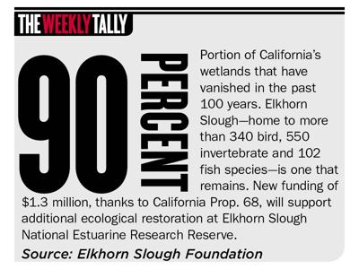 The Weekly Tally 02.25.21