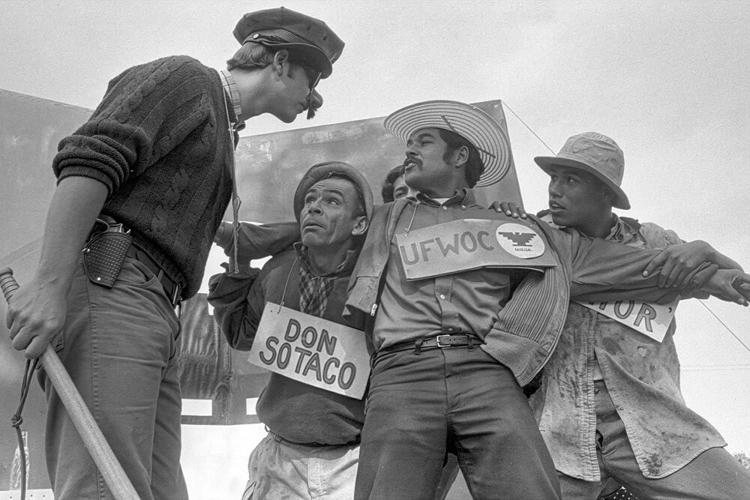 Play, Rights