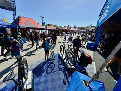 web photo - April 16_sea otter day 1