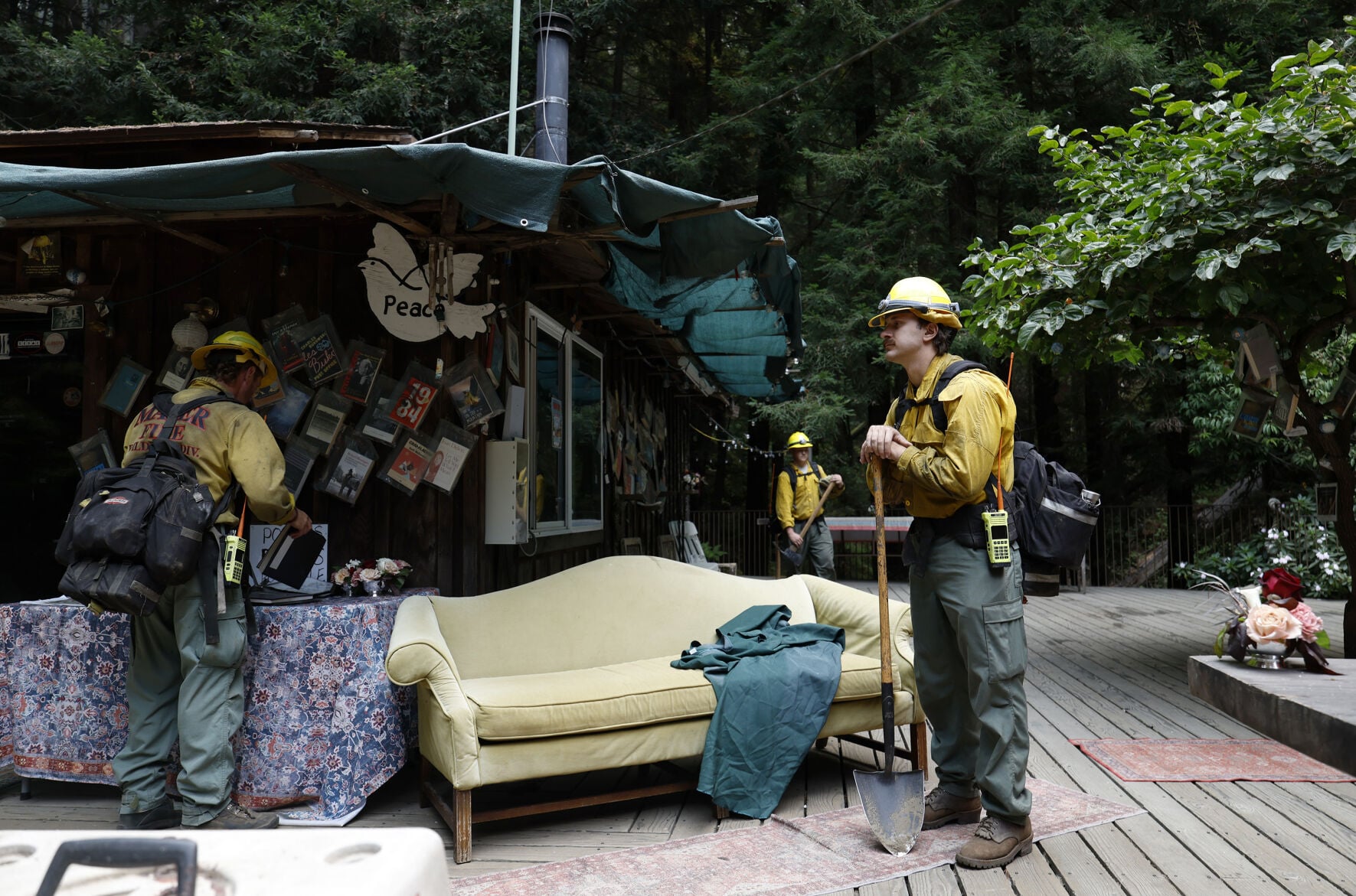 web photo 7/15