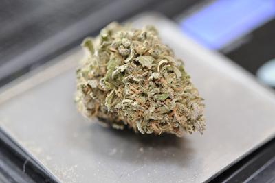 Medical Marijuana