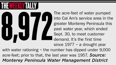 The Weekly Tally 11.07.24