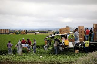 The first reporter for the new Salinas Valley Now welcomes your story ideas.