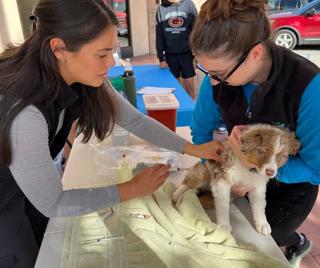South Monterey County cat and dog owners can get affordable pet care services this summer.