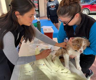 Pet Care Services in South County(Courtesy SPCA Monterey County)