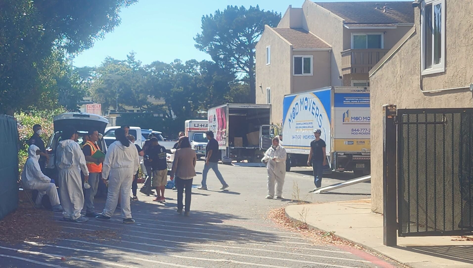 Casanova Plaza Moving