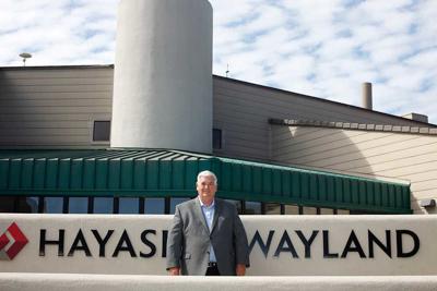 cvr_Hayashi