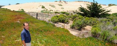 Old lawsuit settlement money will help restore the Marina Dunes Preserve.  