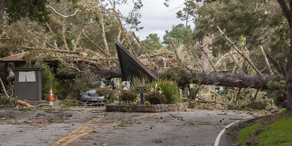 Storm21319_NC_02.jpg