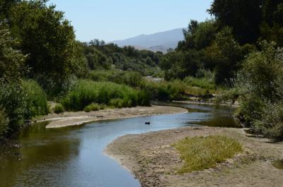 Ag Groups Appeal New Runoff Rules  