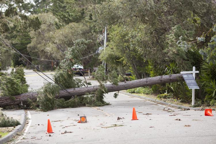 Storm21319_NC_03.JPG