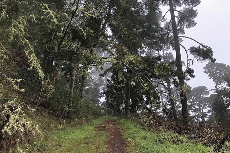 Nature is Healthy