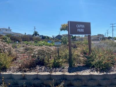 Capra Park
